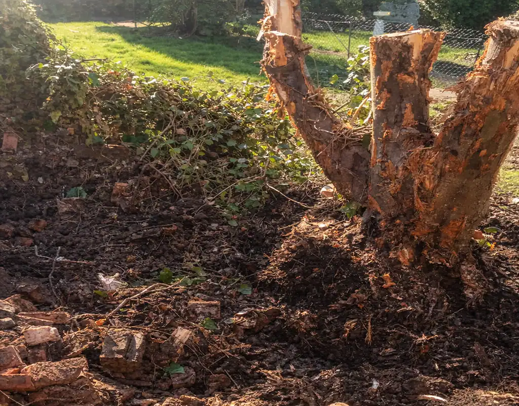 signs of subsidence